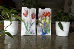 RFL Lanterns 2