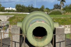 IMG_0782