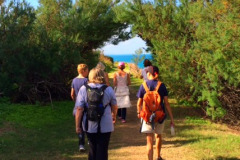 IWC-WALK-2015-3